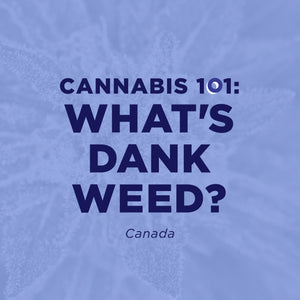 Cannabis 101: What's Dank Weed?