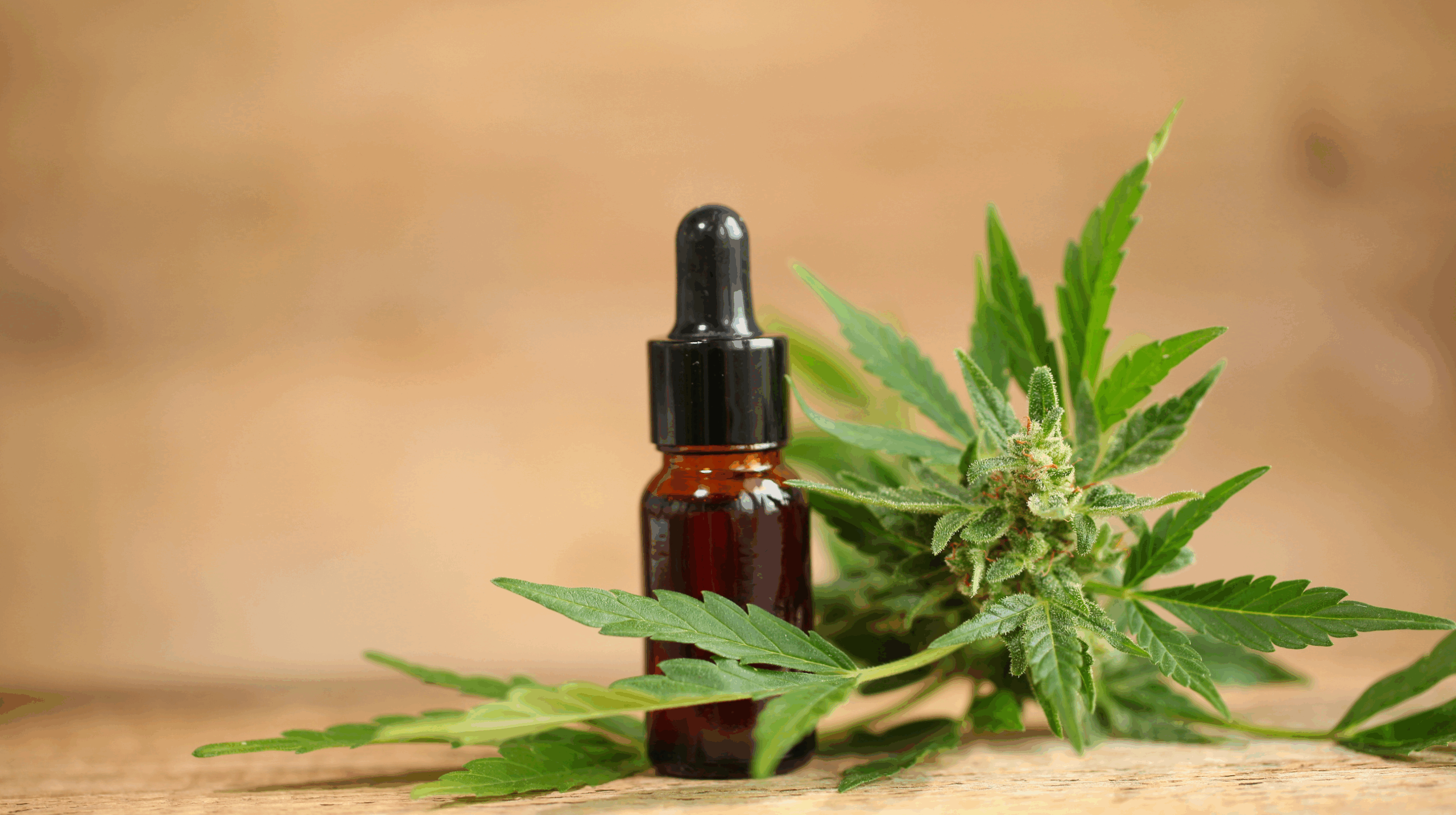 CBD vs CBN vs CBG