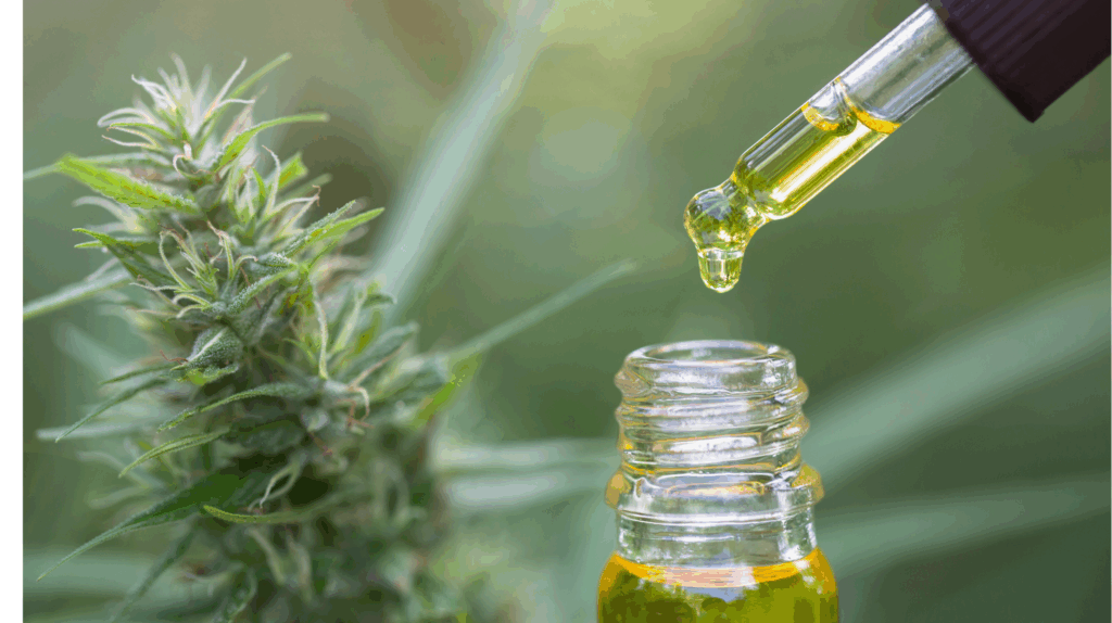 CBD OIl