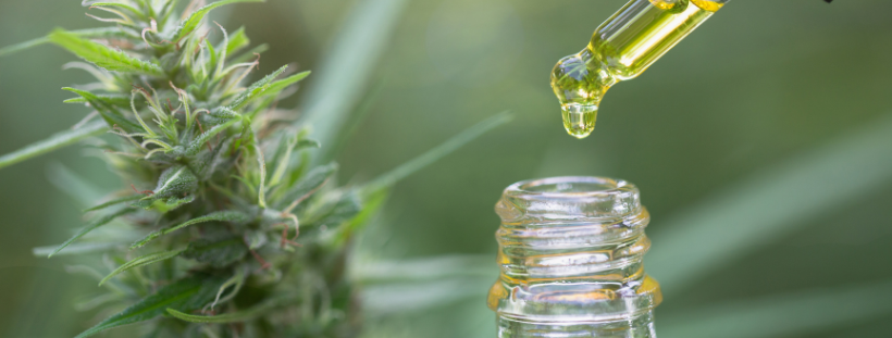 Cannabis Oil Dosage