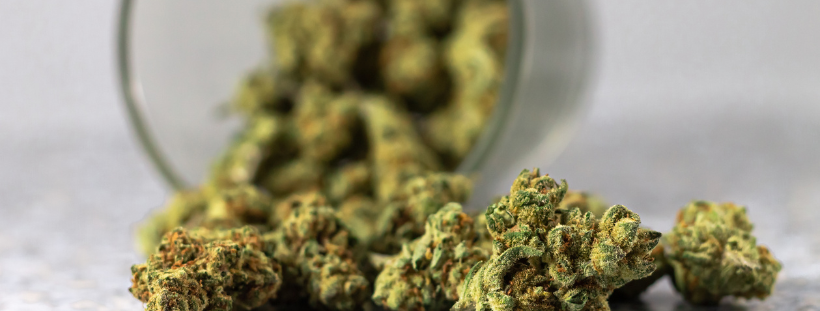Indica vs Sativa Edibles