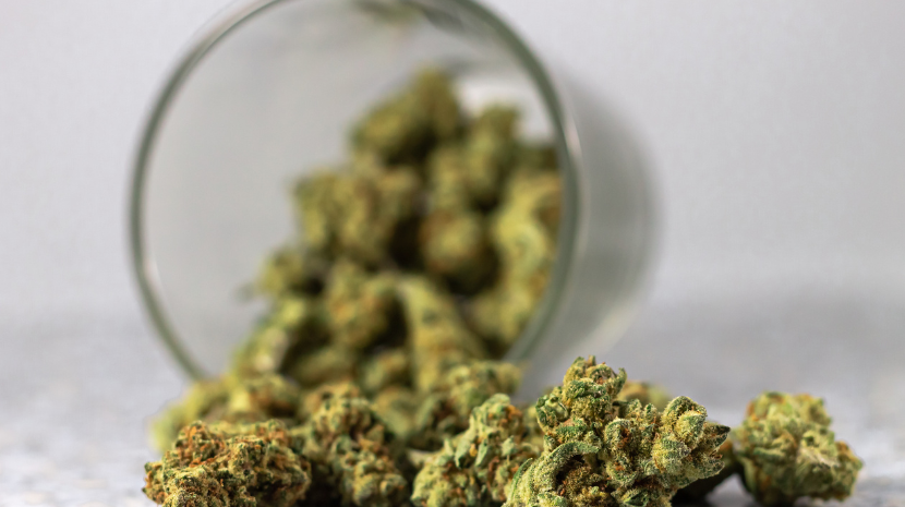 https://dank.ca/wp-content/uploads/2025/09/Indica-vs-Sativa-Edibles.png