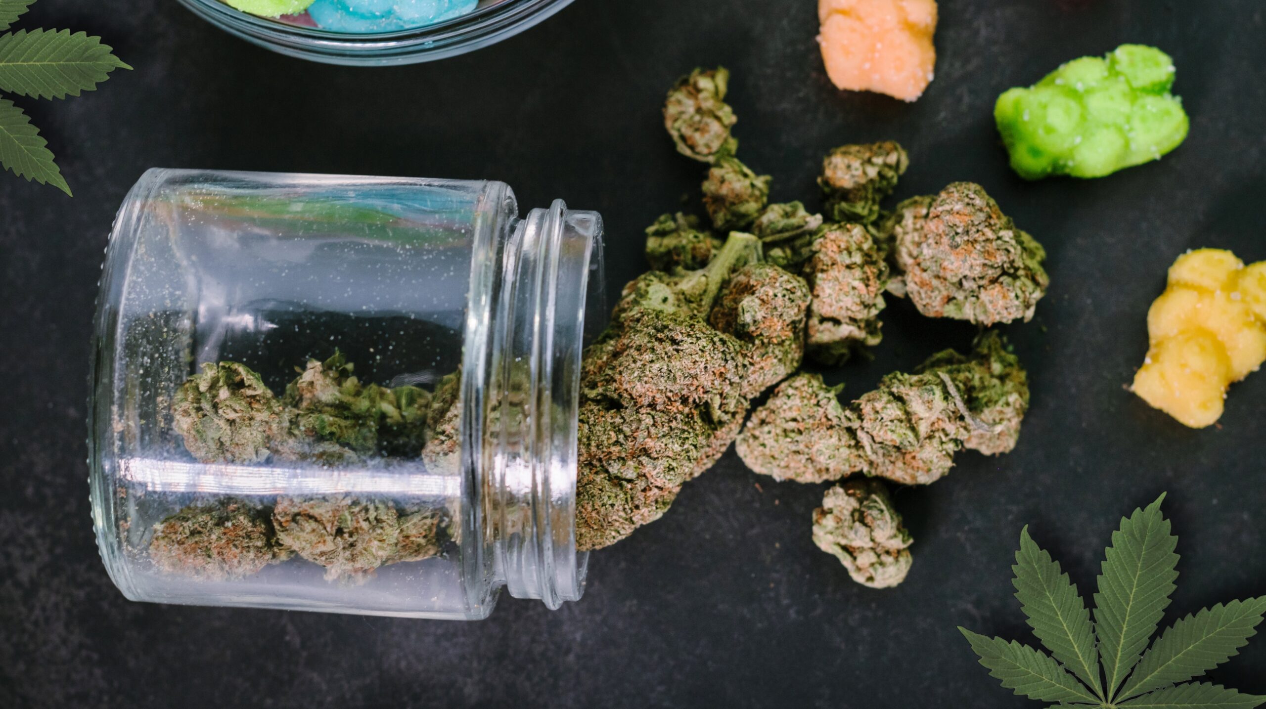 https://dank.ca/wp-content/uploads/2025/09/Thc-scaled.jpg