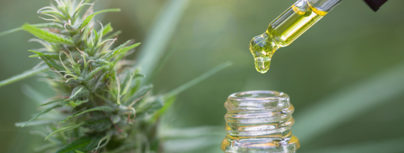 CBD oil