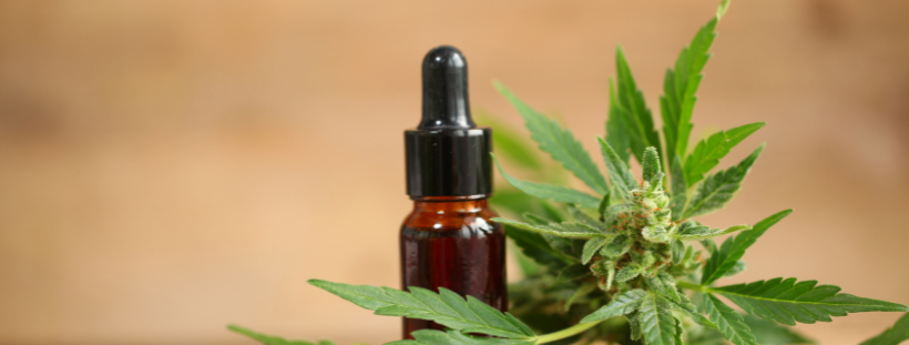 cbd oil
