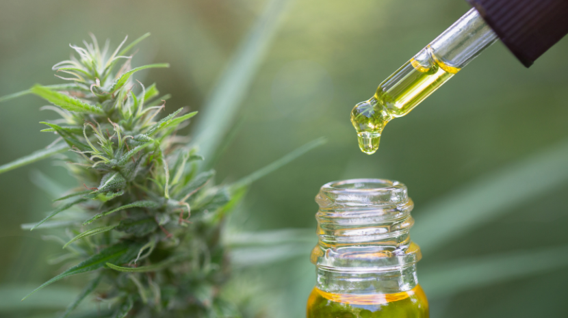 https://dank.ca/wp-content/uploads/2025/09/cbd-oil.png