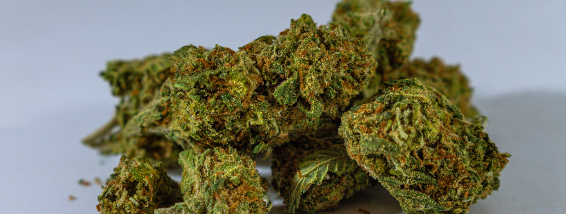 Cannabis Black friday