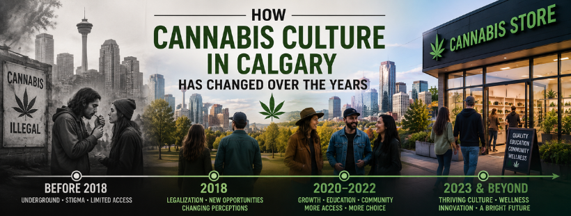 cannabis store